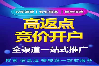 百度推广服务费案例：如何利用预算最大化效果